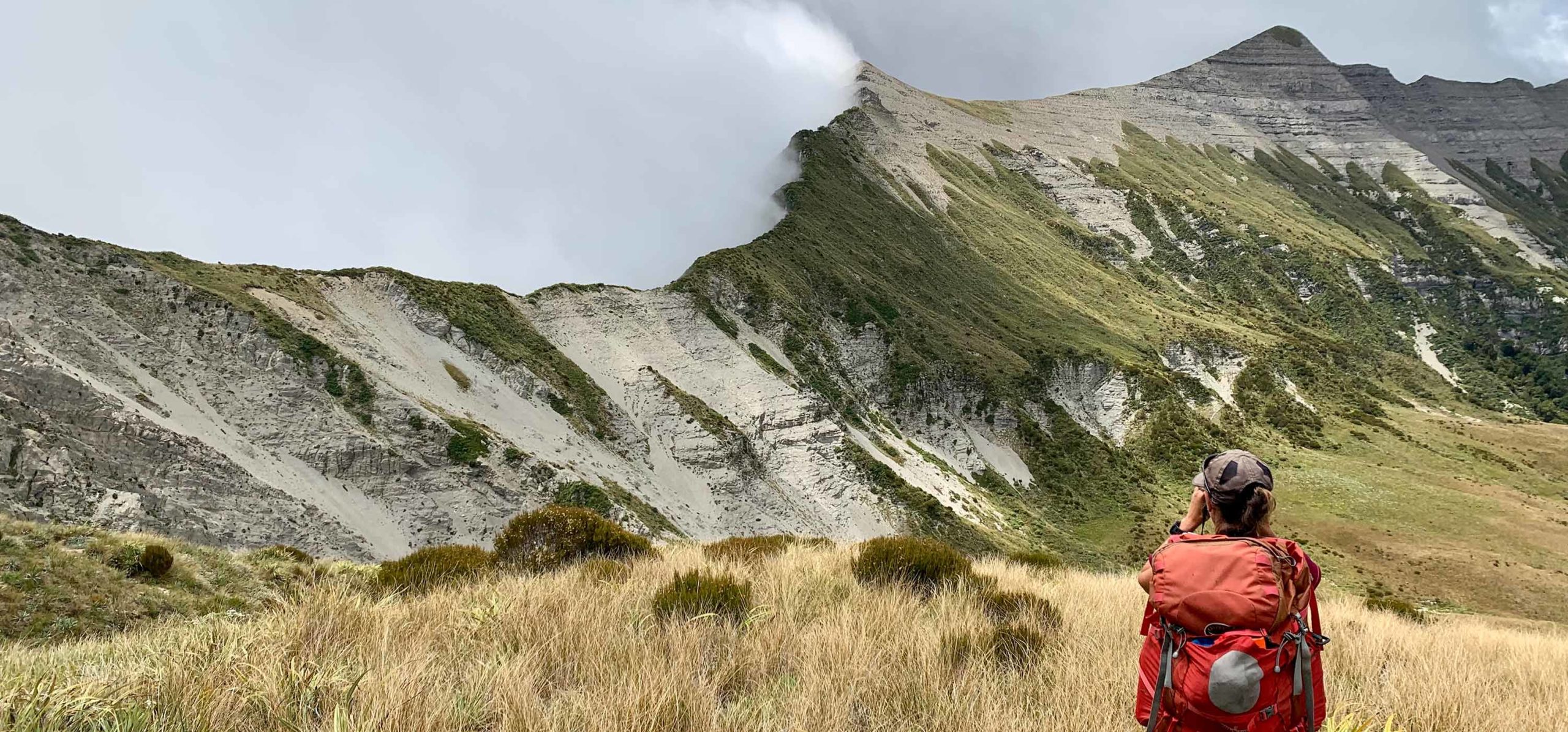 Adventure-Travel-NZ-Hillary-McDonald-background-image-1