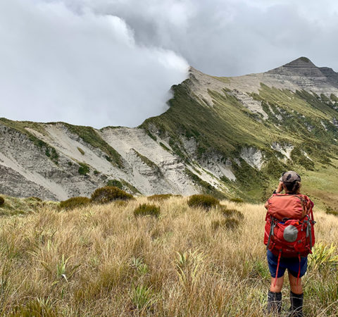 New Zealand Hiking - Thousand Acre