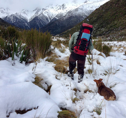 New Zealand Hiking - Nelson Lakes