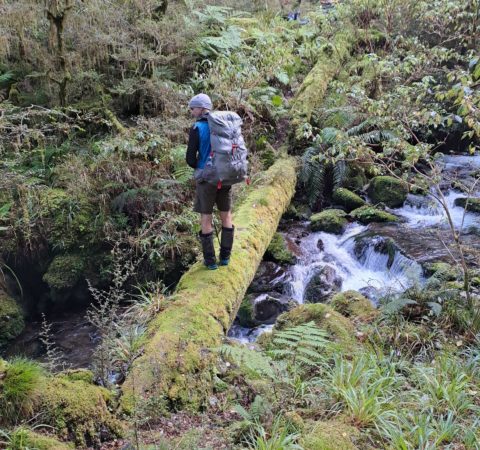 New Zealand Hiking - Wangapeka