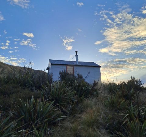New Zealand Hiking - John Reid Hut