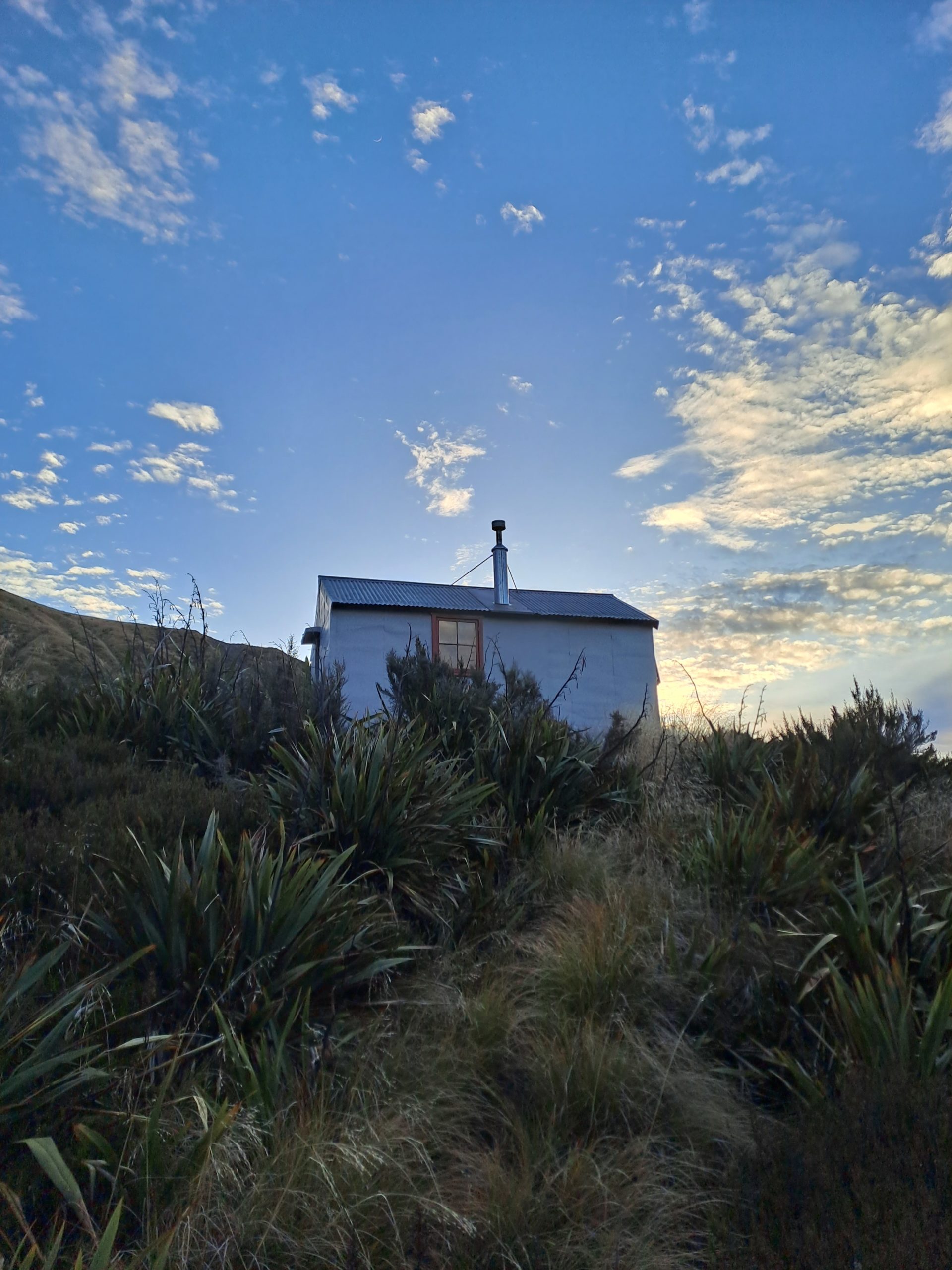 New Zealand Hiking - John Reid Hut