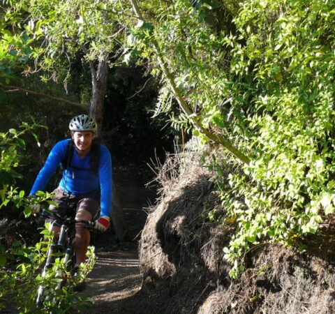 New Zealand Mountain Biking - W2K Loop track