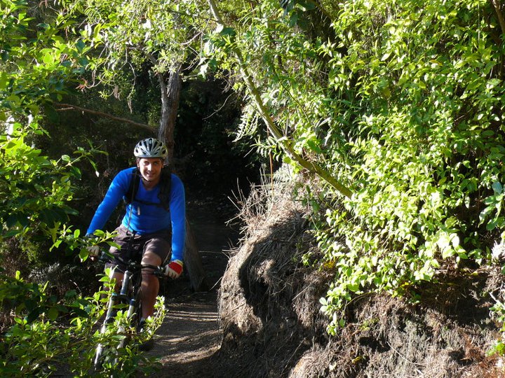 New Zealand Mountain Biking - W2K Loop track