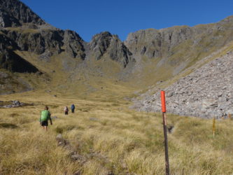 New Zealand Hiking - Nelson Lakes