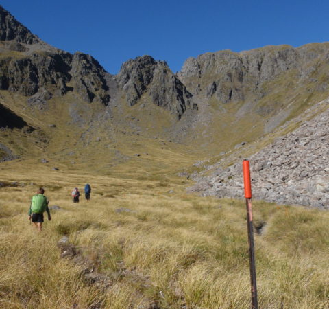 New Zealand Hiking - Nelson Lakes